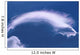 Cloud Over Thundercloud Near Wasilla Southcentral Ak Summer Scenic Wall Mural