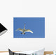 Trumpeter Swan In Flight Over Westchester Lagoon Wall Mural