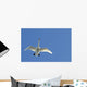 Trumpeter Swan In Flight Over Westchester Lagoon Wall Mural