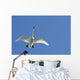 Trumpeter Swan In Flight Over Westchester Lagoon Wall Mural