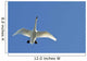Trumpeter Swan In Flight Over Westchester Lagoon Wall Mural