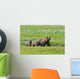 Brown Bear Sow Walks With Her Cubs In A Grassy Meadow Wall Mural