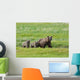 Brown Bear Sow Walks With Her Cubs In A Grassy Meadow Wall Mural