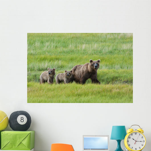Brown Bear Sow Walks With Her Cubs In A Grassy Meadow Wall Mural