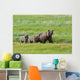 Brown Bear Sow Walks With Her Cubs In A Grassy Meadow Wall Mural