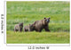 Brown Bear Sow Walks With Her Cubs In A Grassy Meadow Wall Mural