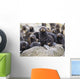 Portrait Of A Northern Fur Seal Pup Wall Mural