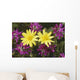 Close Up Of Alpine Anica *Wild Sweetpea* Interior Alaska Summer Wall Mural