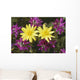 Close Up Of Alpine Anica *Wild Sweetpea* Interior Alaska Summer Wall Mural
