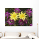 Close Up Of Alpine Anica *Wild Sweetpea* Interior Alaska Summer Wall Mural