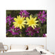 Close Up Of Alpine Anica *Wild Sweetpea* Interior Alaska Summer Wall Mural