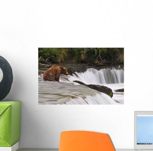 A Large Brown Bear Patiently Sits At Brooks Falls Wall Mural