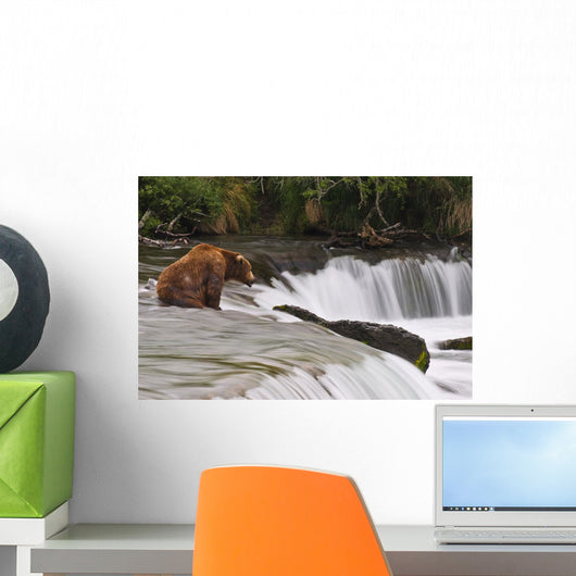 A Large Brown Bear Patiently Sits At Brooks Falls Wall Mural