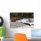 A Large Brown Bear Patiently Sits At Brooks Falls Wall Mural
