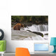 A Large Brown Bear Patiently Sits At Brooks Falls Wall Mural