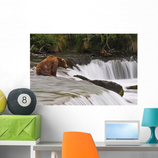 A Large Brown Bear Patiently Sits At Brooks Falls Wall Mural