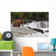 A Large Brown Bear Patiently Sits At Brooks Falls Wall Mural
