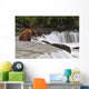 A Large Brown Bear Patiently Sits At Brooks Falls Wall Mural