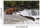 A Large Brown Bear Patiently Sits At Brooks Falls Wall Mural