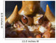 Close-Up Shot Of The Eyes Of A Golden King Crab Southeast Wall Mural