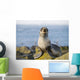 Portrait Of A Juvenile Northern Fur Seal Wall Mural