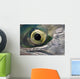 Macro Of The Eye Of An Sockeye Salmon, Southwest Alaska Wall Mural