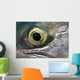 Macro Of The Eye Of An Sockeye Salmon, Southwest Alaska Wall Mural