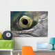 Macro Of The Eye Of An Sockeye Salmon, Southwest Alaska Wall Mural