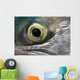 Macro Of The Eye Of An Sockeye Salmon, Southwest Alaska Wall Mural