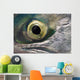 Macro Of The Eye Of An Sockeye Salmon, Southwest Alaska Wall Mural
