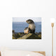 Portrait Of A Juvenile Northern Fur Seal Wall Mural