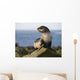 Portrait Of A Juvenile Northern Fur Seal Wall Mural