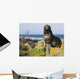 Portrait Of A Northern Fur Seal Juvenile Male Wall Mural