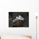Close Up View Of Red-Legged Kittiwakes In Their Nest Wall Mural