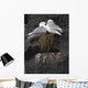 Close Up View Of Red-Legged Kittiwakes In Their Nest Wall Mural