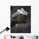 Close Up View Of Red-Legged Kittiwakes In Their Nest Wall Mural