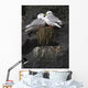 Close Up View Of Red-Legged Kittiwakes In Their Nest Wall Mural