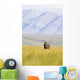 A Solitary Musk Ox Wanders Through The Grass Wall Mural
