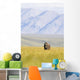 A Solitary Musk Ox Wanders Through The Grass Wall Mural