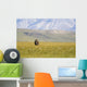A Solitary Musk Ox Wanders Through The Grass Wall Mural