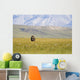 A Solitary Musk Ox Wanders Through The Grass Wall Mural
