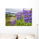 Lupine Flowers Wall Mural