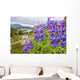 Lupine Flowers Wall Mural