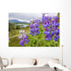 Lupine Flowers Wall Mural