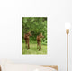Twin Moose Calves 2-3 Weeks Old In Backyard Sc Ak Summer Anchorage Wall Mural