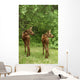 Twin Moose Calves 2-3 Weeks Old In Backyard Sc Ak Summer Anchorage Wall Mural