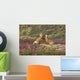 Two Foxes Wall Mural