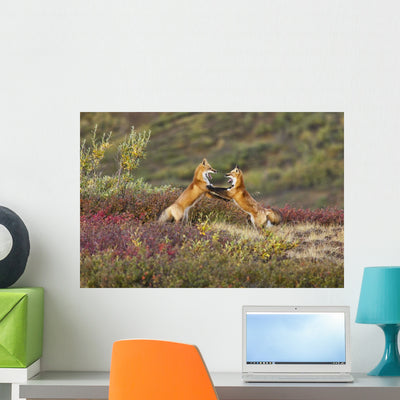 Two Foxes Wall Mural shown on a wall