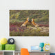 Two Foxes Wall Mural