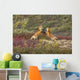 Two Foxes Wall Mural